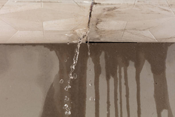 Professional Structural Drying technician working in Coolville, OH